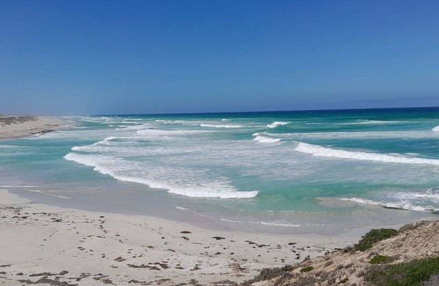 Elliston Waterloo Bay Tourist Park