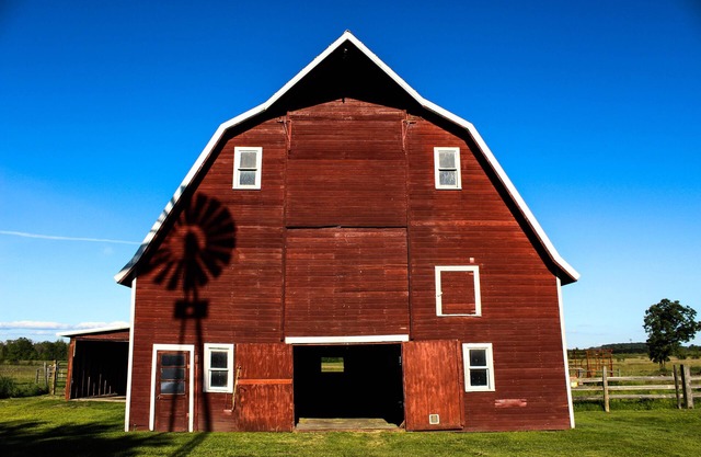 Enjoy an Old Fashion Farm Experience, Animals Included! We. Farm. Naturally.