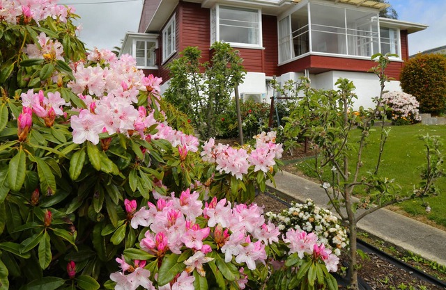 Enjoy big views from this lovely home overlooking Oamaru.