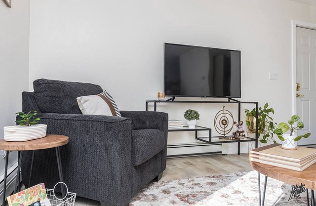 Entire 2BR 1Bath Apt “The Downtown Deneege”