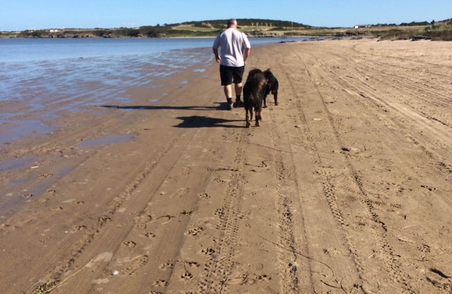 Entire Cosy Home From Home Country Retreat