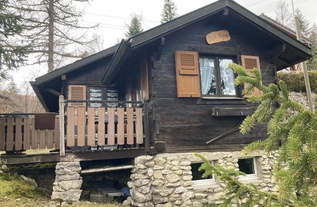 Entire cozy chalet in St-Cergue - 30 min from Geneva