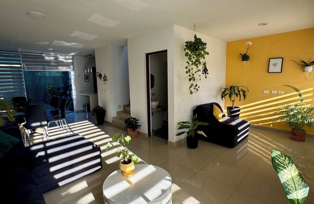 Entire house la primavera