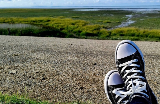 Entire house with a big kitchen and 2 bedrooms "Blomsteech"