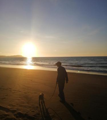 Entire seascape house