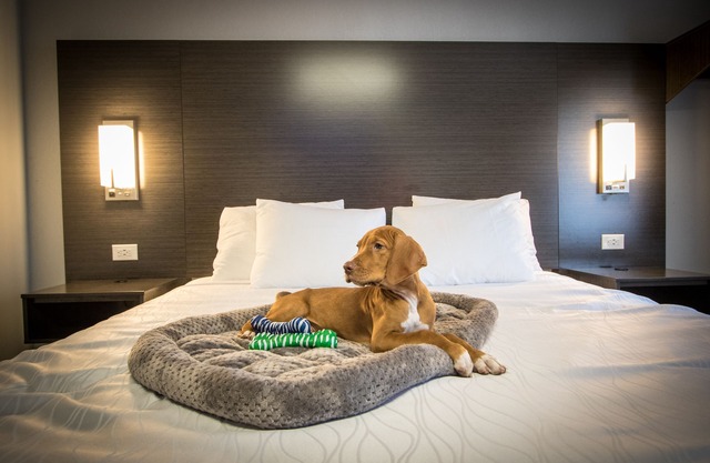 Envi Boutique Hotel Henderson-Evansville South