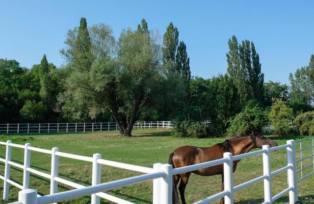 Equiliber Reitkunstzentrum Burgenland