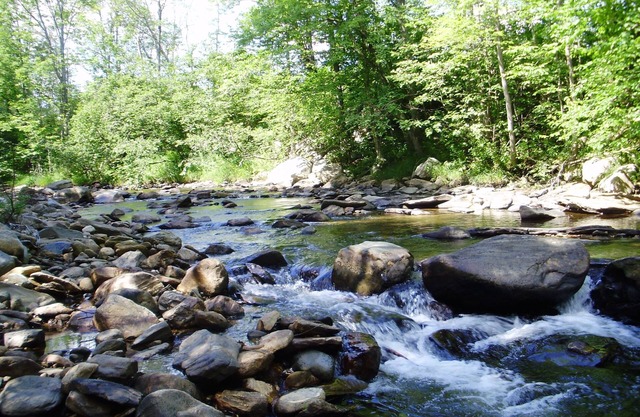 Evergreen is a family friendly retreat located in Weston Vt.