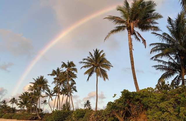 Exceptionally Pristine Haleiwa North Shore Beachside Retreat