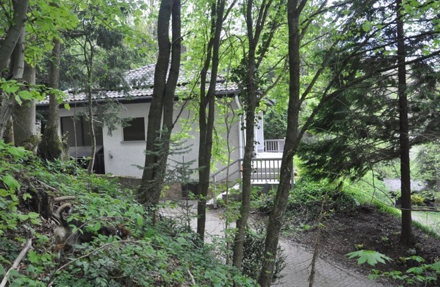 Exclusive holiday home in the Rhön with forest, vacation with dog and family