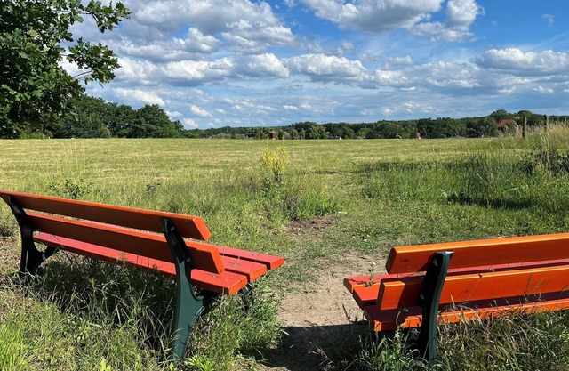 Exklusive Ferienwohnung bei Berlin, bis 5 Gäste, Große Terrasse, Garten