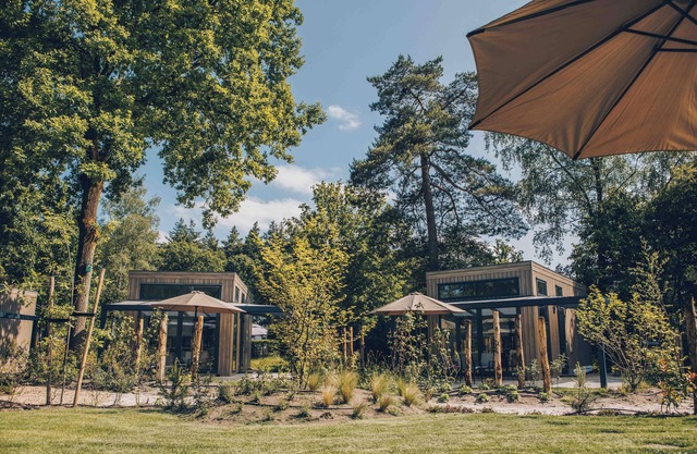 Experience luxury and nature in the Reeëndal Lodge on the Veluwe! With 1 bedroom and 1 sleeping loft and a fully equipped kitchen and air conditioning.