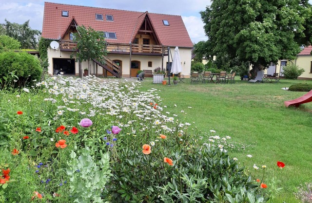 Experience silence, in the National Park 'Lower Oder Valley'