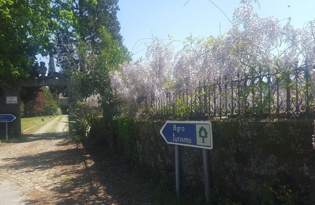 Fabulouse Quinta da Comenda - Double Room