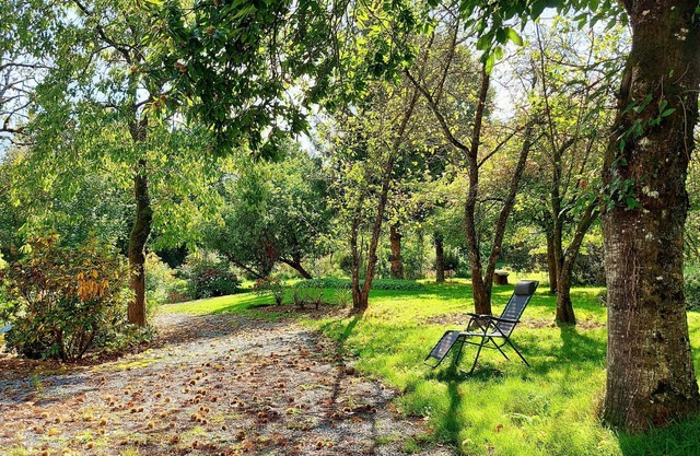 Family Getaway: Fishing, Nature, Pool - Accessible, 8 Guests