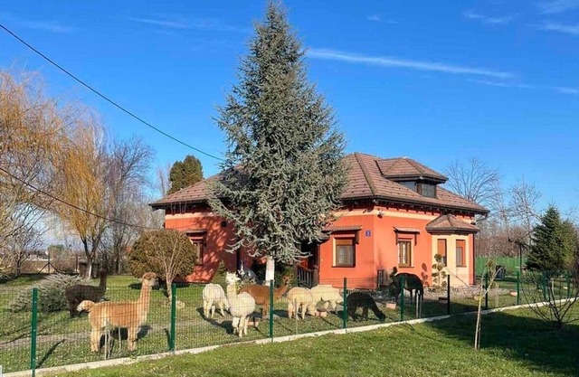 Family friendly house with a parking space Andrijaševci, Slavonija (K-24939)
