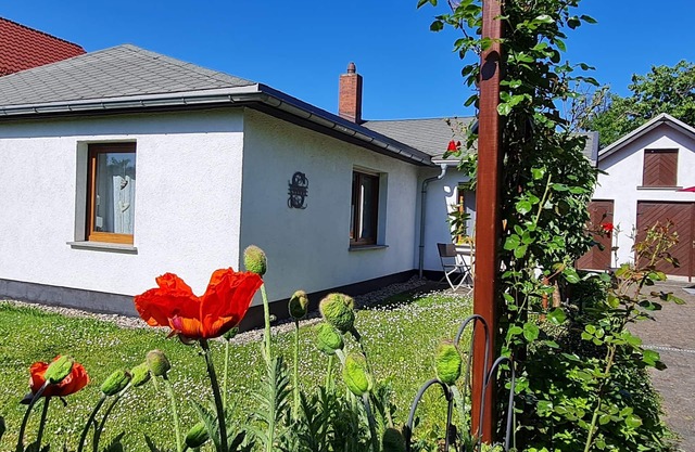 Family-friendly holiday home, quiet and close to nature, for sole use