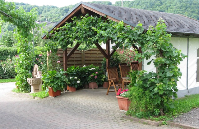 family-friendly, outdoor facility, hiking, wine yards, biking