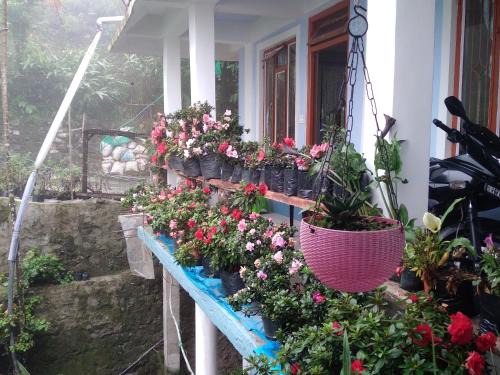 Family Holiday Homestay Kalimpong