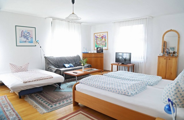 Family room, 30 sqm, sofa bed