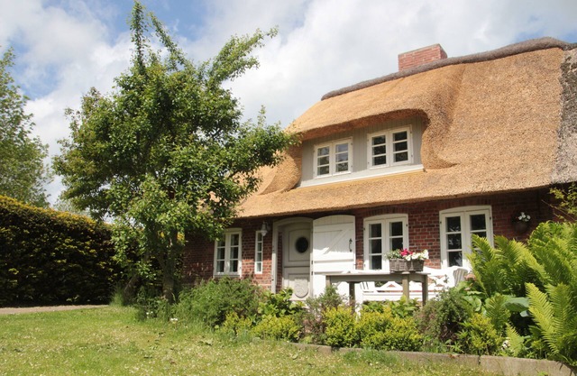 Fantastic thatched cottage on the North Sea coast with a separate sauna house