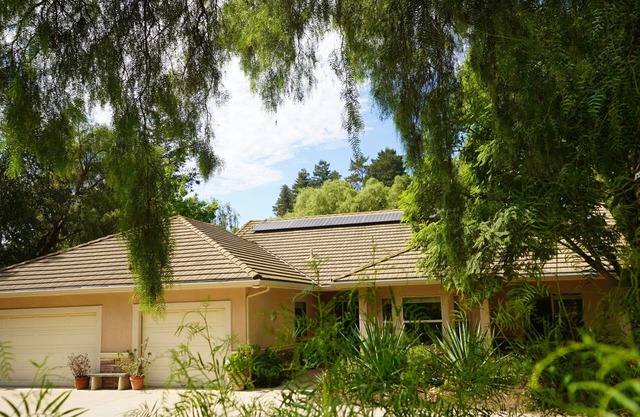 Farmhouse in 20acre Organic Lemon Grove - Pick Lemons - Kid-friendly - Pets OK!