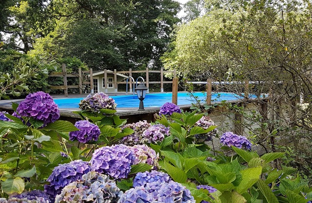 Farmhouse in the outbuildings of a castle, in a 6-acre landscaped park with pool