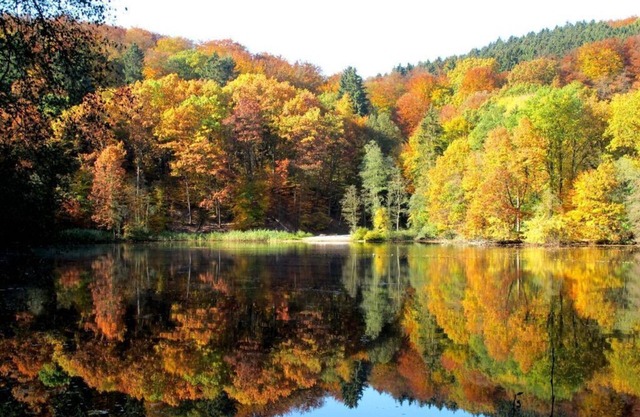 Fasse Comfortable holiday residence