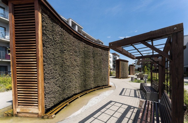 Federowicza Cosy Studio