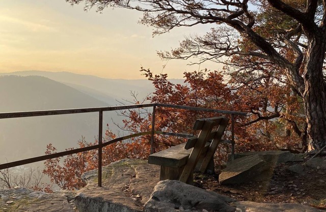 Ferienwohnung Wolfsberg - Apartment/apartment, shower and bath, WC, ground floor/P