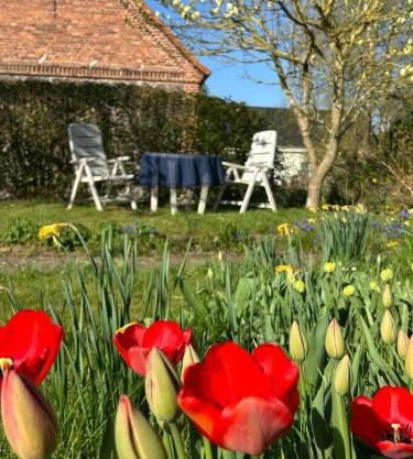 Ferien Gnevkow 45 - Mit dem Zug direkt ins Grüne - Entspannung inklusive