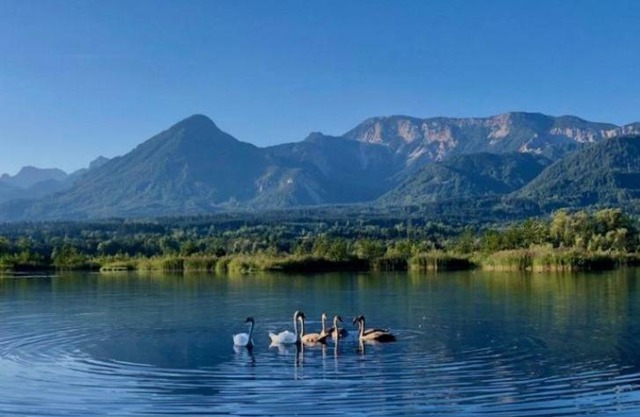 Ferienhaus Annemarie