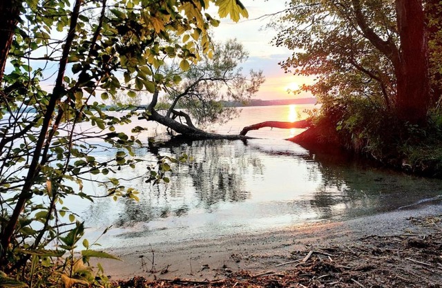 Ferienhaus Flessenow am Schweriner See