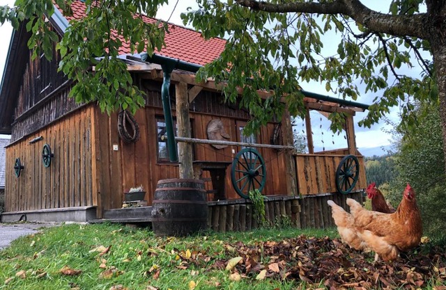 Ferienhaus FRIEDLHOF