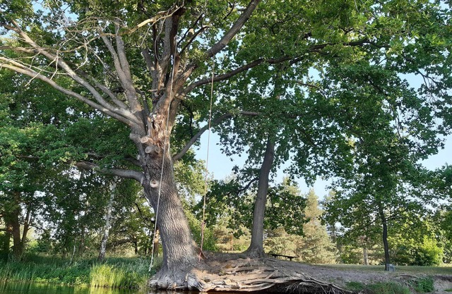 Ferienhaus Großtrappe , 80 qm, 4 Schlafzimmer für Max. 7 Personen