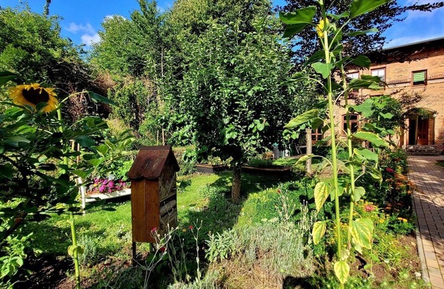 Ferienhaus in Einem Kleinem Dorf in der Natur. Umgeben von Wald und Seen