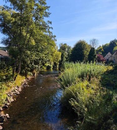 Ferienhaus Waldoase für 11 Personen und max 2 Hunde im Nationalpark Eifel in Top Lage