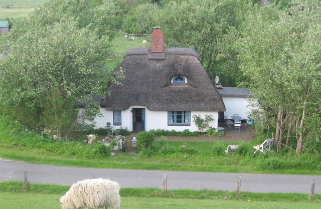 Ferienkate Kap Eiderstedt