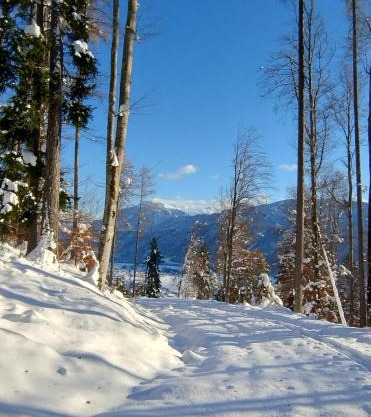 Ferienwohnung BergTime