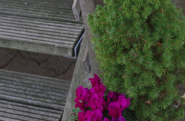 Ferienwohnung, 50qm mit 1 Schlafraum und Garten für max. 4 Personen