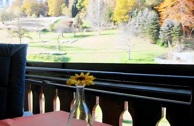 Ferienwohnung, 55 qm, 1 Schlafzimmer, max. 3 Pers.