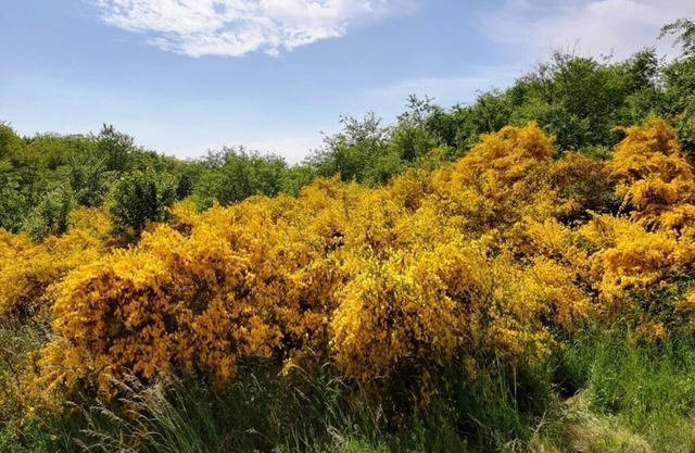 Ferienwohnung/app. für 4 Gäste mit 50m² in Alt Reddevitz