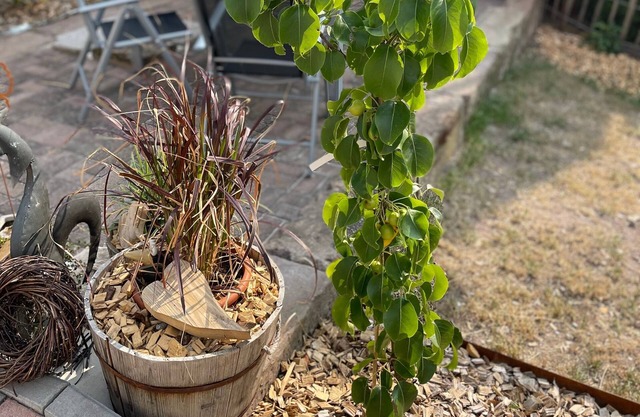 Ferienwohnung/app. für 4 Gäste mit 78m² in Ipsheim