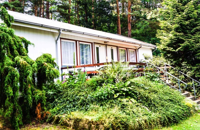 Ferienwohnung/app. für 5 Gäste mit 45m² in Friedland