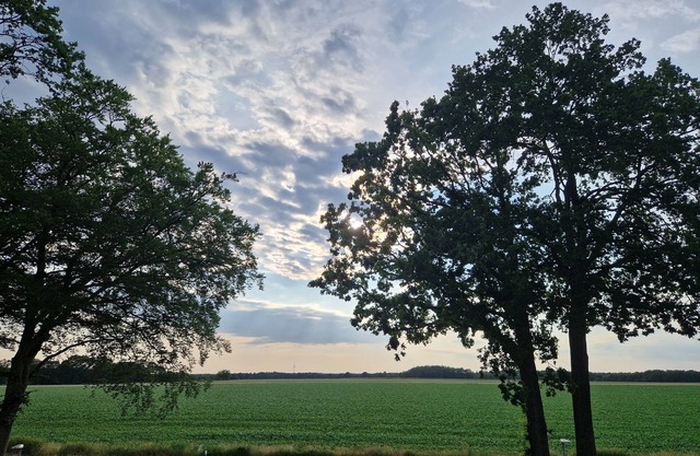 Ferienwohnung/app. für 4 Gäste mit 65m² in Haselünne