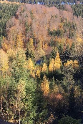 Ferienwohnung Eulennest