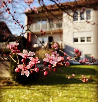 Ferienwohnung im Aalbachtal - Uettingen bei Würzburg