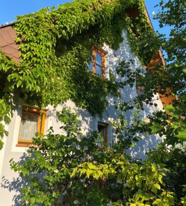 Ferienwohnung in der Thermenregion