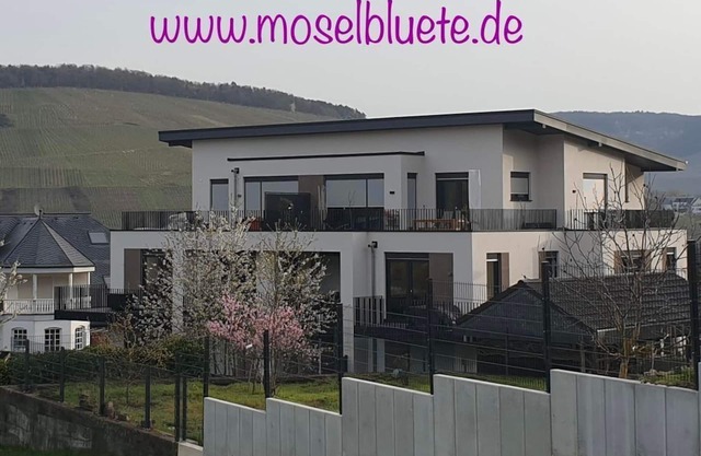 Ferienwohnung Moselblüte