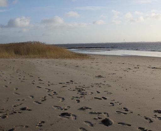 Ferienwohnung Monteurwohnung DeichBrandt